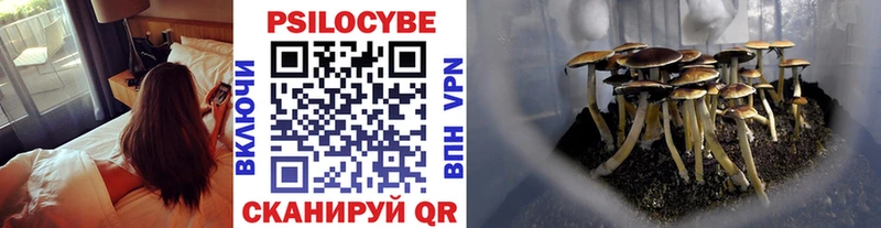 Псилоцибиновые грибы мицелий  Купить  Горячий Ключ 